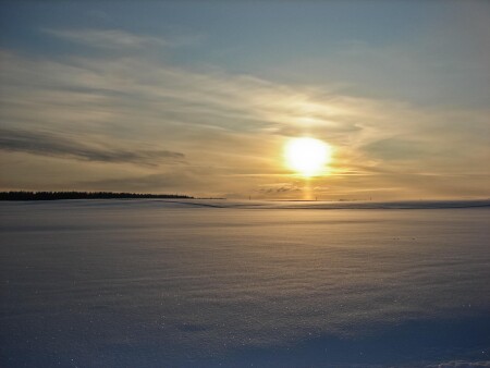 Воздух звенел