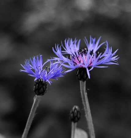 Счастливы вместе!