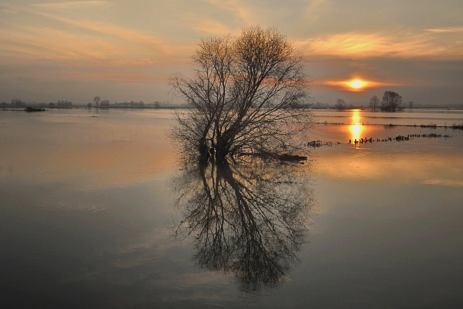 Sunset in the flood.