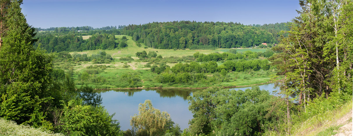 Панорама Немана