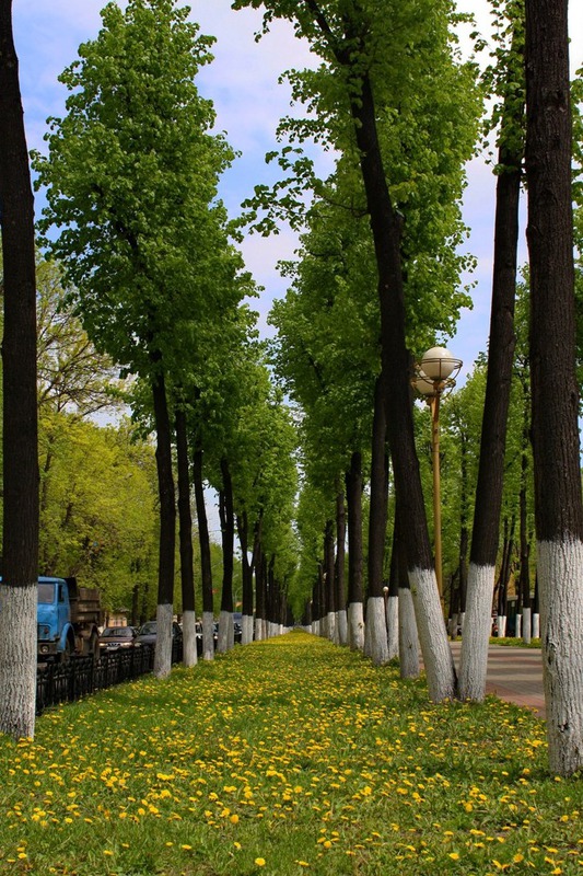 Весна в городе