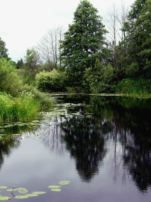 Реки Беларуси