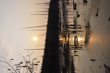 увидел, снял...