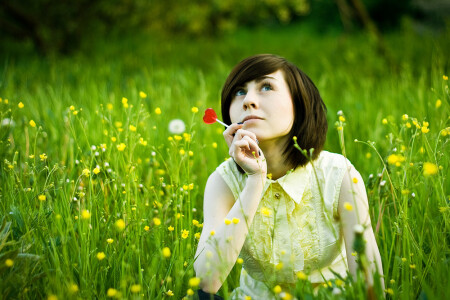 мечты Алисы