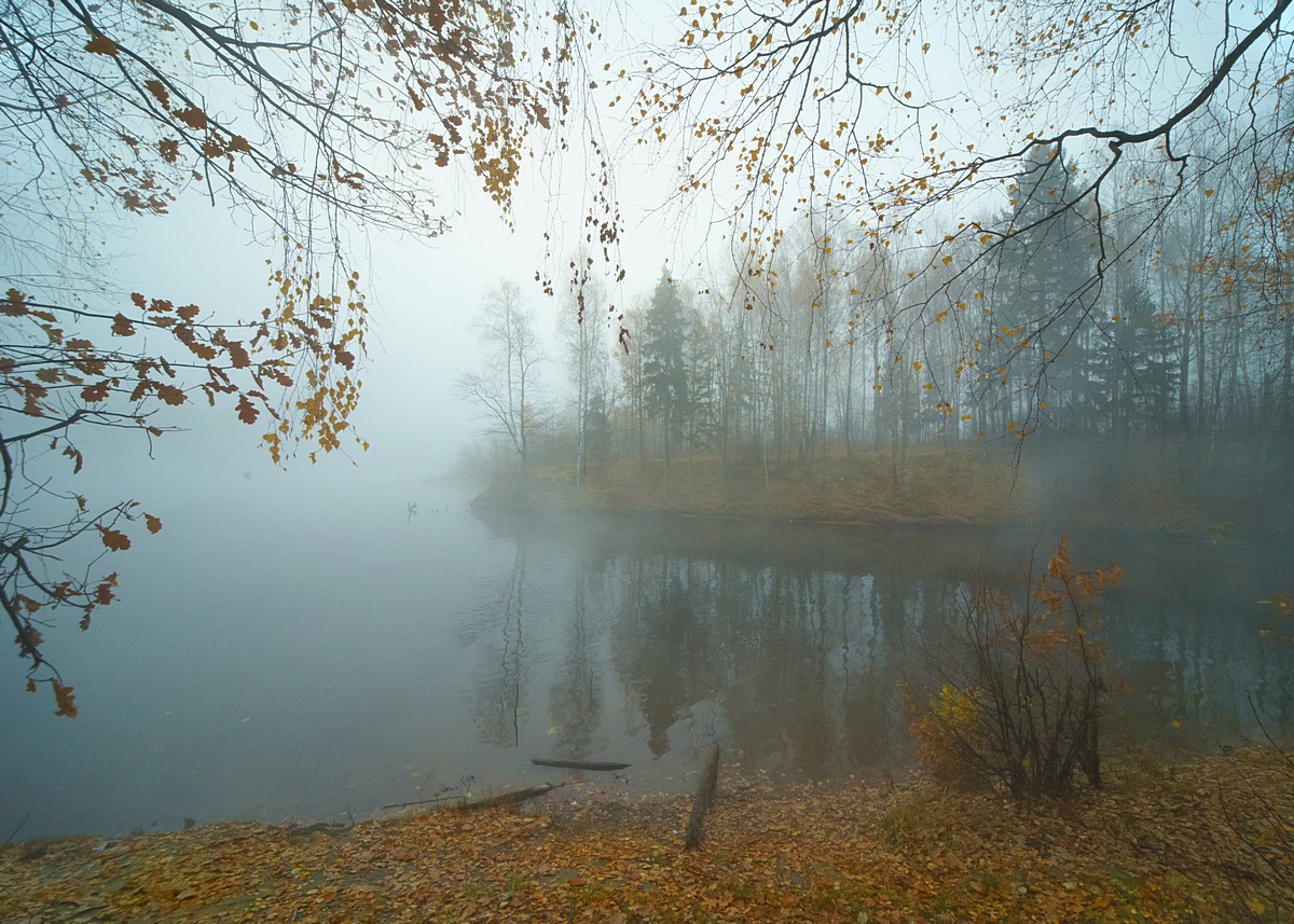 Тихое утро