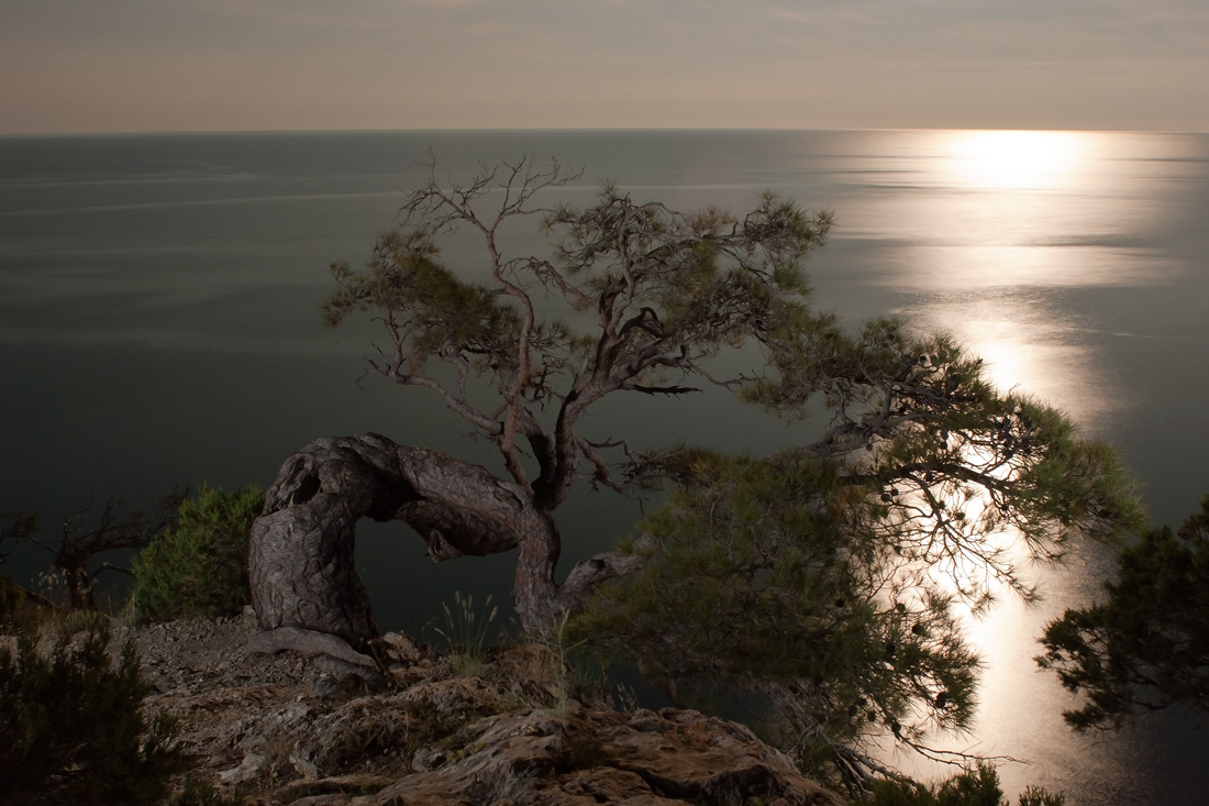 Лунная дорожка