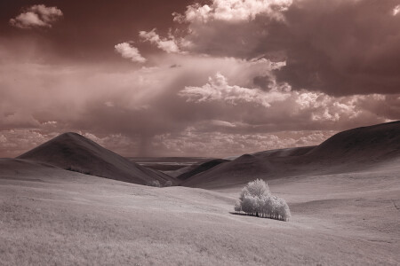 IR#36