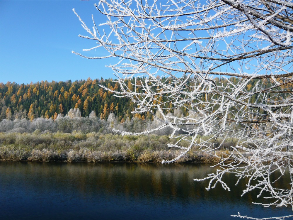 Осеннее