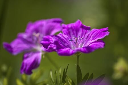 'без названия #2