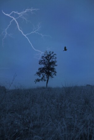 End of Life...
