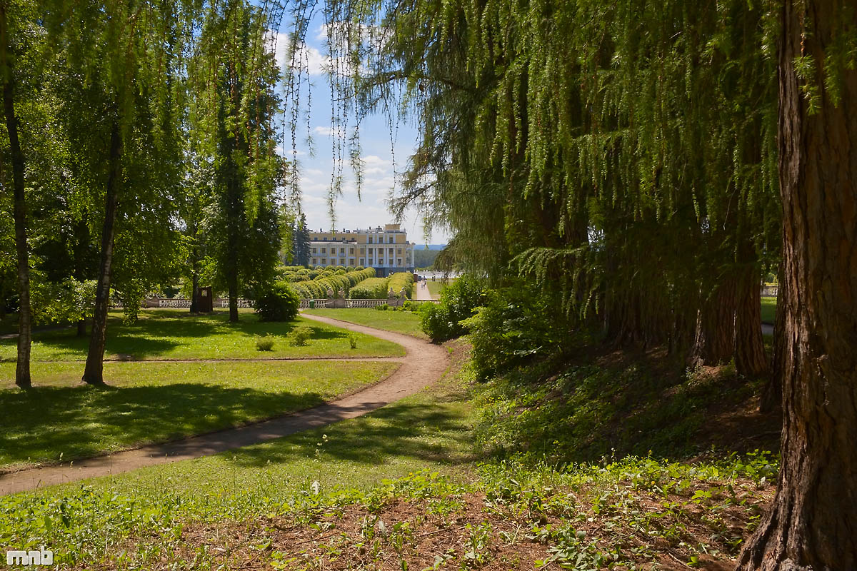 в гостях у князей Голицыных