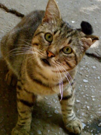 А что это у вас за штука такая?