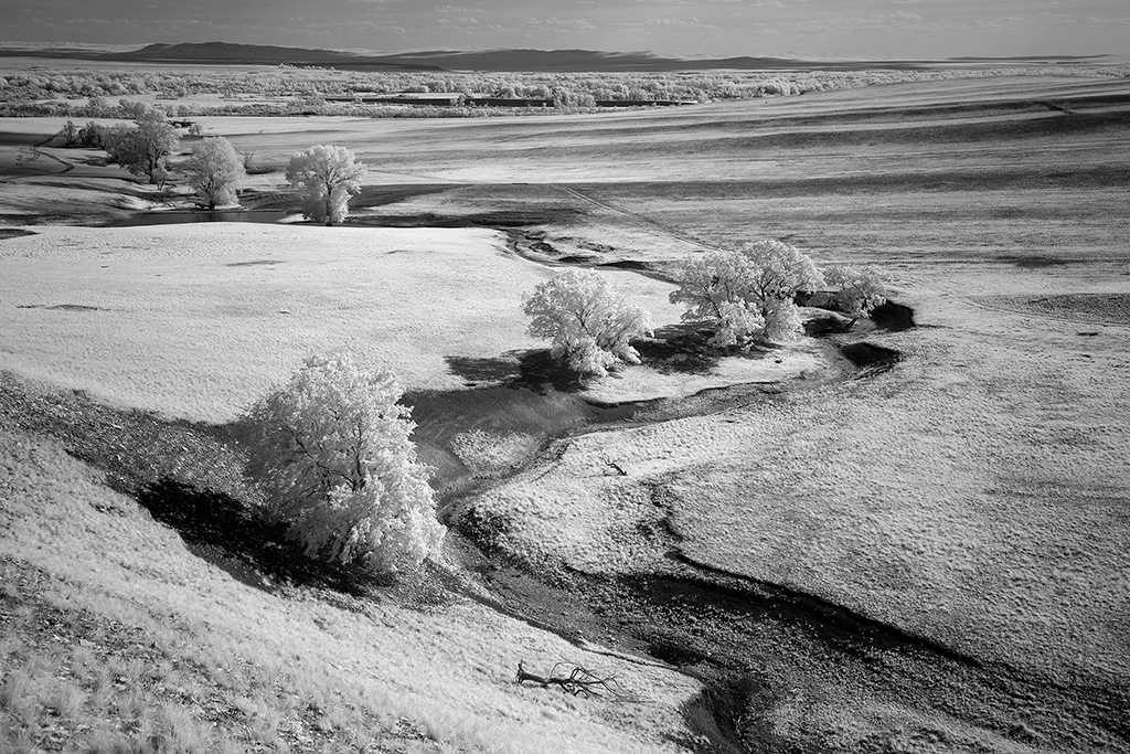 IR#37 bw