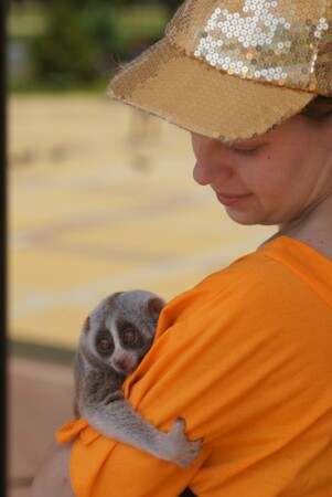 &amp;quot;Мы в ответе ... .&amp;quot;