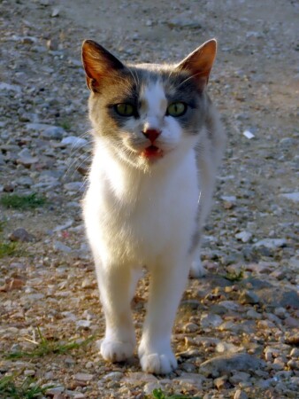 Муж назвал фото &amp;quot;Гопник&amp;quot;