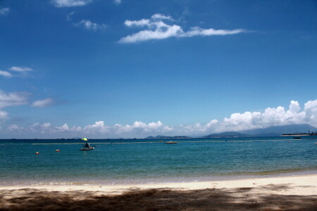 immersion in the dream