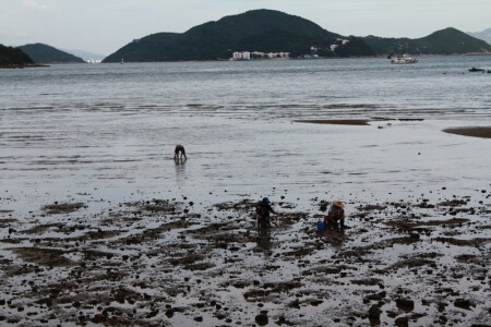 sea &amp;amp;#8203;&amp;amp;#8203;hunters