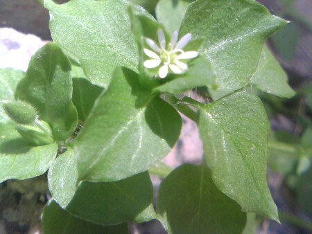 то что вокруг