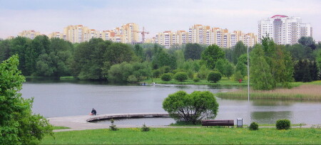 Минск, 2008 г.