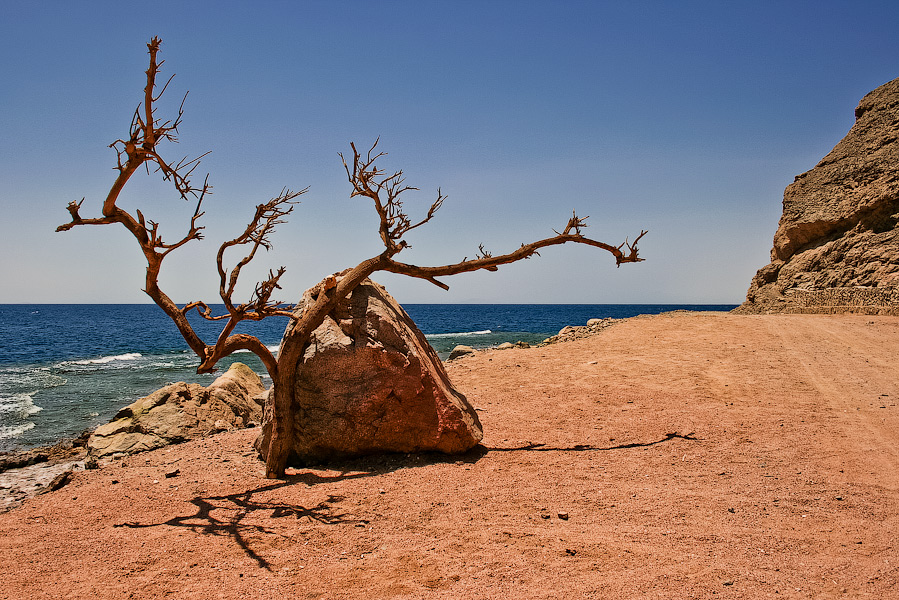 Between Dahab and Ras-Abu-Galum.