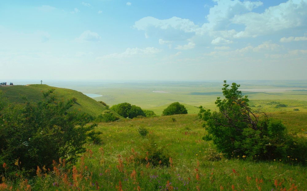 Июнь в степи