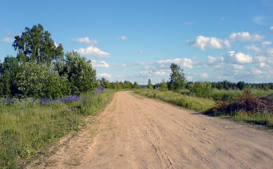 облака - белокрылые лошадки