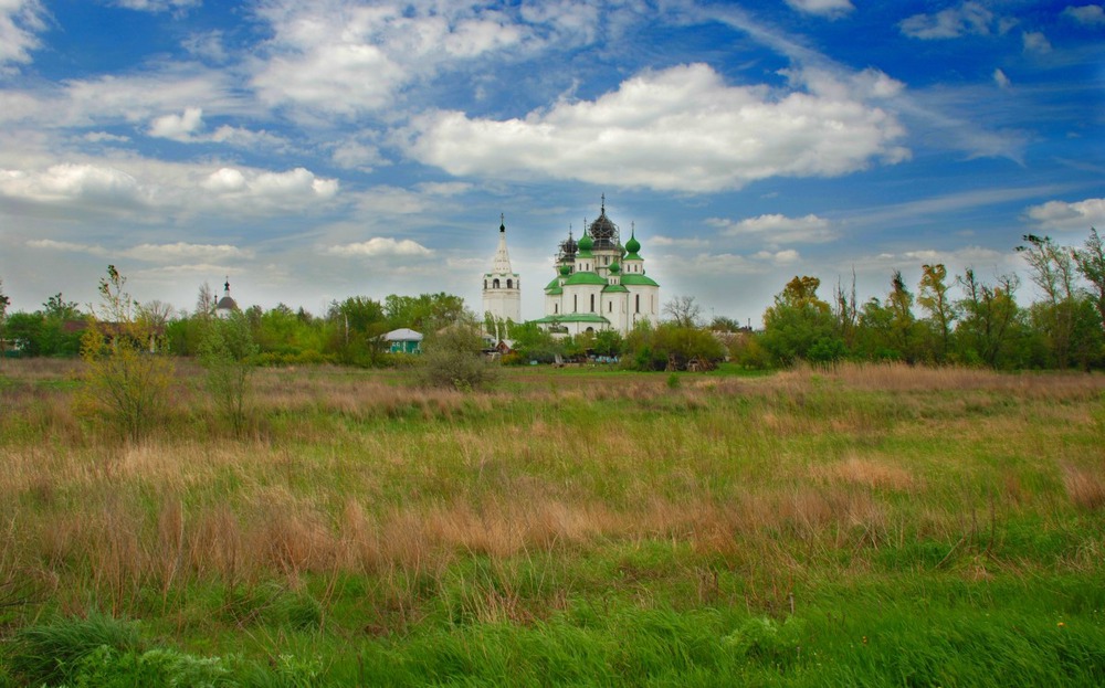 В донских степях