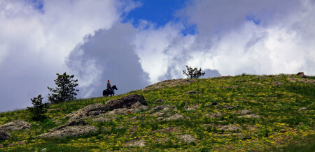 Одинокий &amp;quot;ковбой&amp;quot;