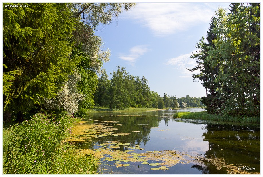 Лето. Белое озеро - Summer. The White Lake