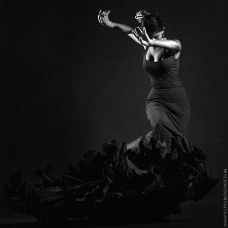 Flamenco Dancer