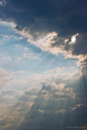 После дождя