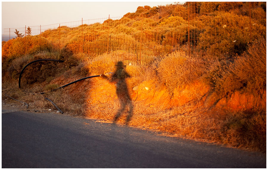 Shadow Cowboy