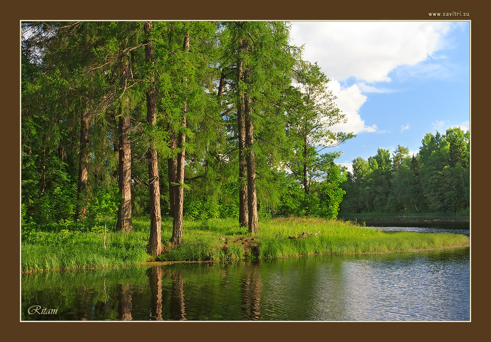 Белое озеро. Остров (Гатчина) - The White Lake. An Island