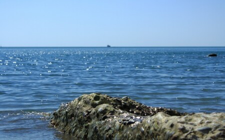 камень в фокусе
