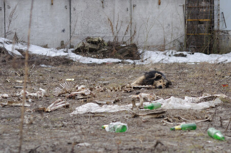 Славное утро