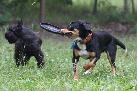 В кругу друзей