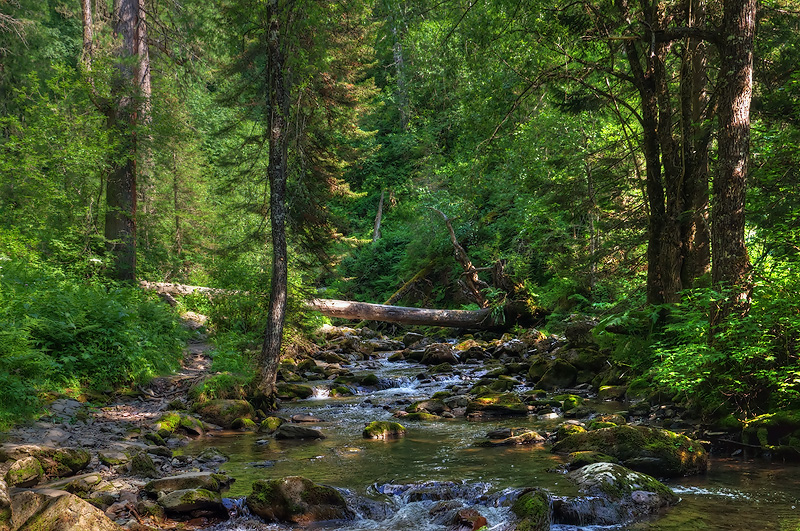 Алтай. Горная речка