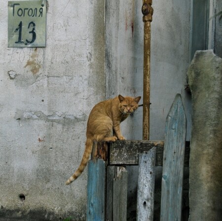 &amp;quot;Плохая квартира&amp;quot;