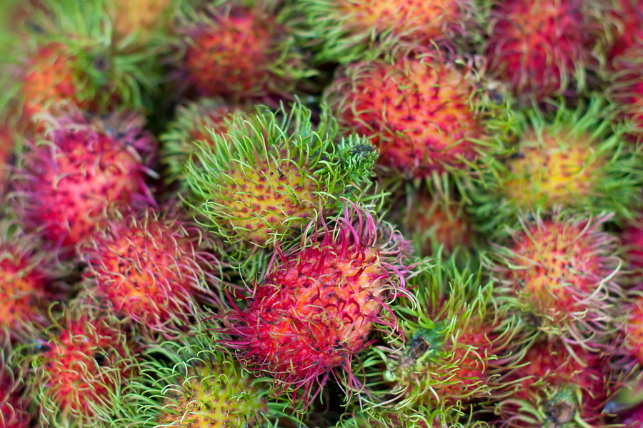 Rambutan