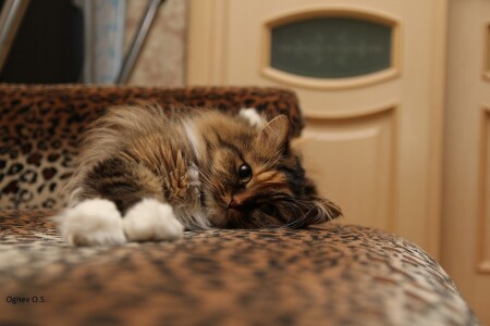 Оттдыхаюююю