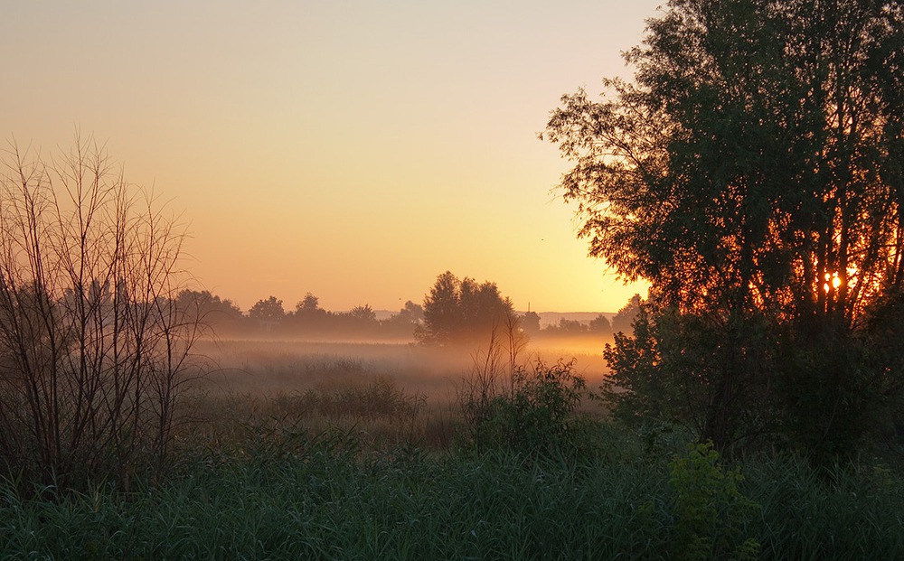 рассвет