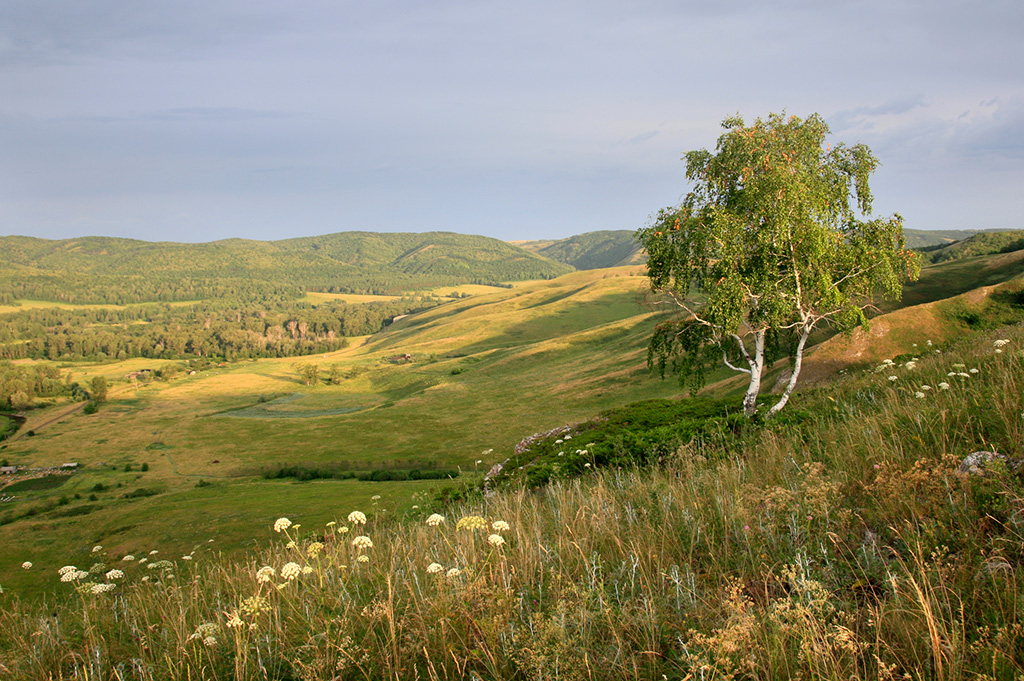 Утро в горах.