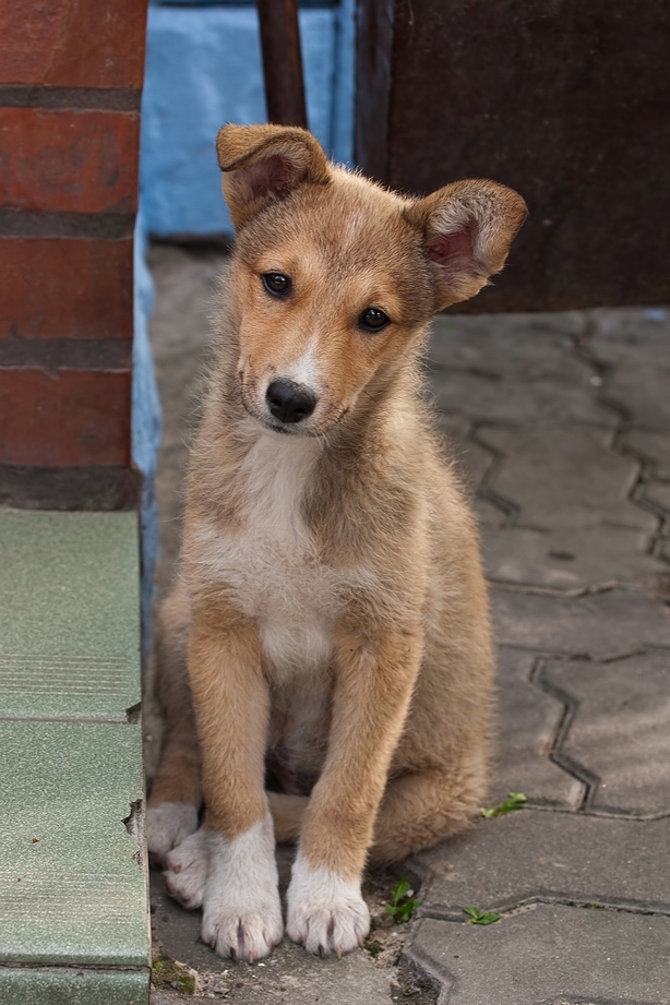 А косточки нет ?