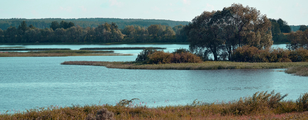 на границе Осени