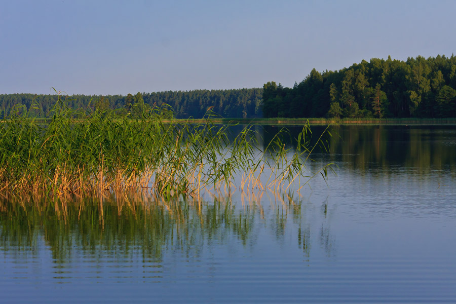 утреннее тишина