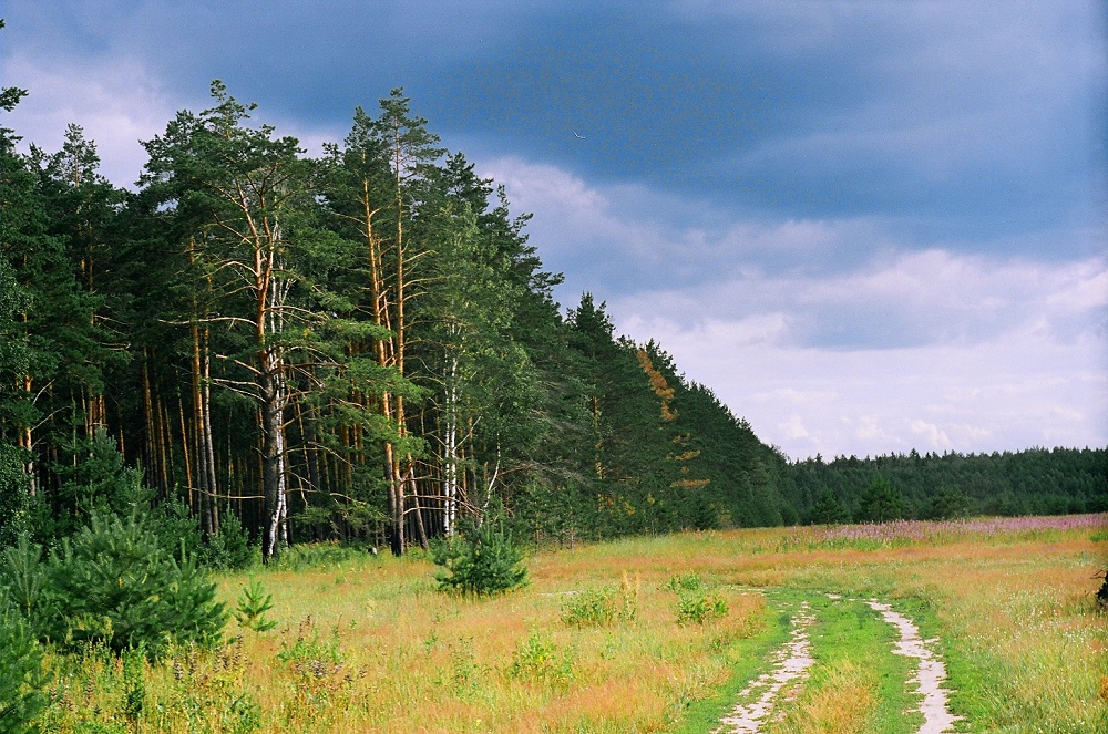 Русская природа