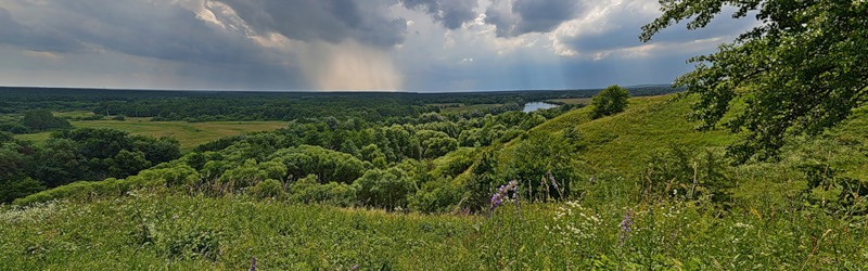 Панорама