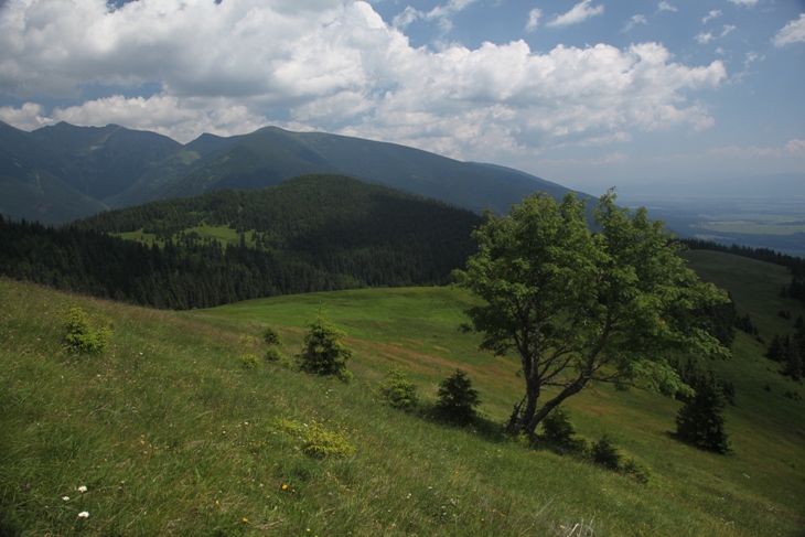 Горы Словакии