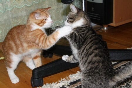 Кто на рыжего