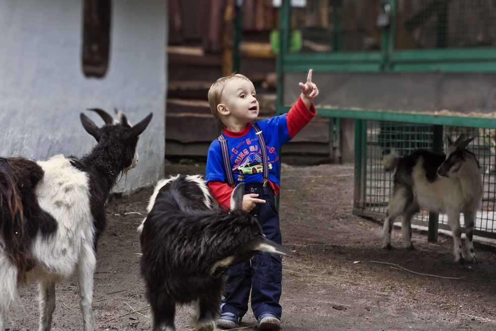 так, слушайте все меня...